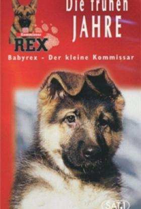 Rex, a kölyökfelügyelő teljes film magyarul