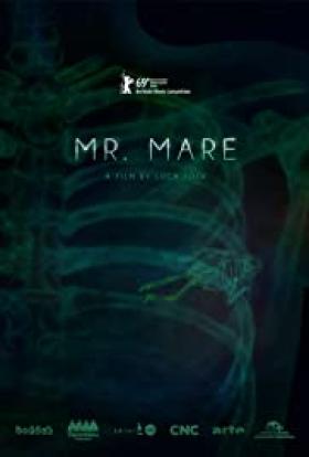 Lidérc úr online film borító³