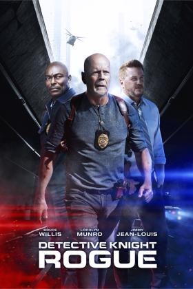 Knight nyomozó: Az öntörvényű online film borító